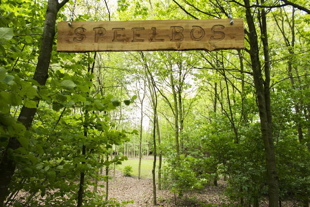 Pipowagen Camping Puur Genieten Bed & Breakfast Someren ห้อง รูปภาพ